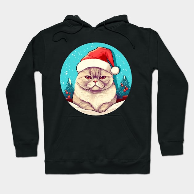 Exotic Shorthair Cat Xmas, Love Cats Hoodie by dukito